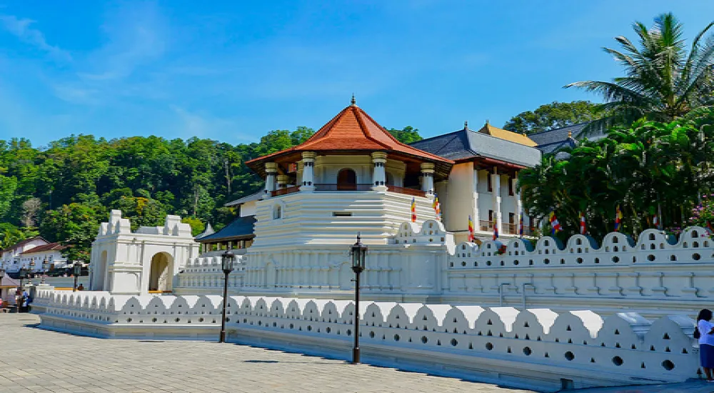 Kandy Day Tour by Car or Van