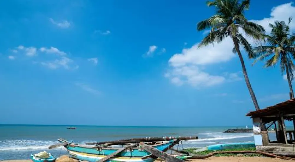 Negombo Day Tour by Tuk Tuk /  Car or Van